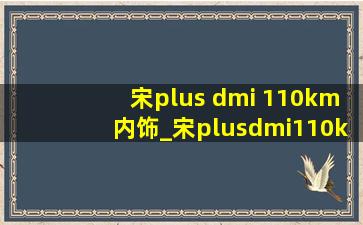 宋plus dmi 110km内饰_宋plusdmi110km内饰有几个颜色